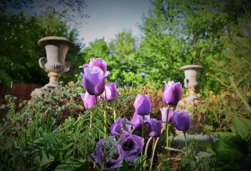 Majatalo U Zlate Brany Cesky Raj