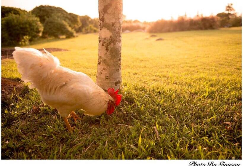 The Natural Garden Resort