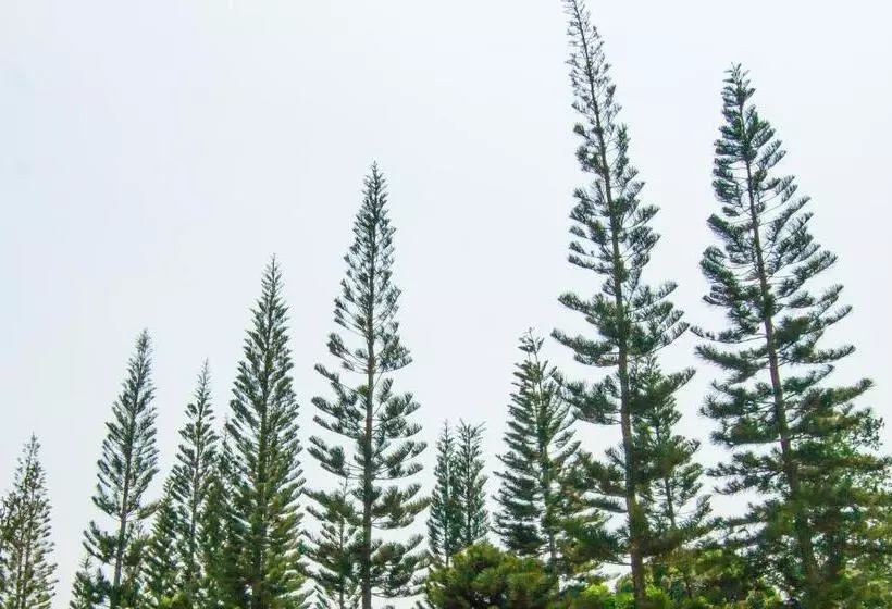 The Natural Garden Resort