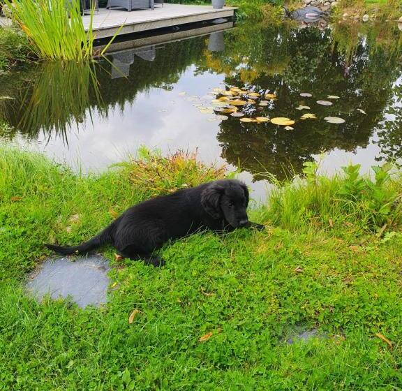 צימר Bergsmansgårdens Gästhus