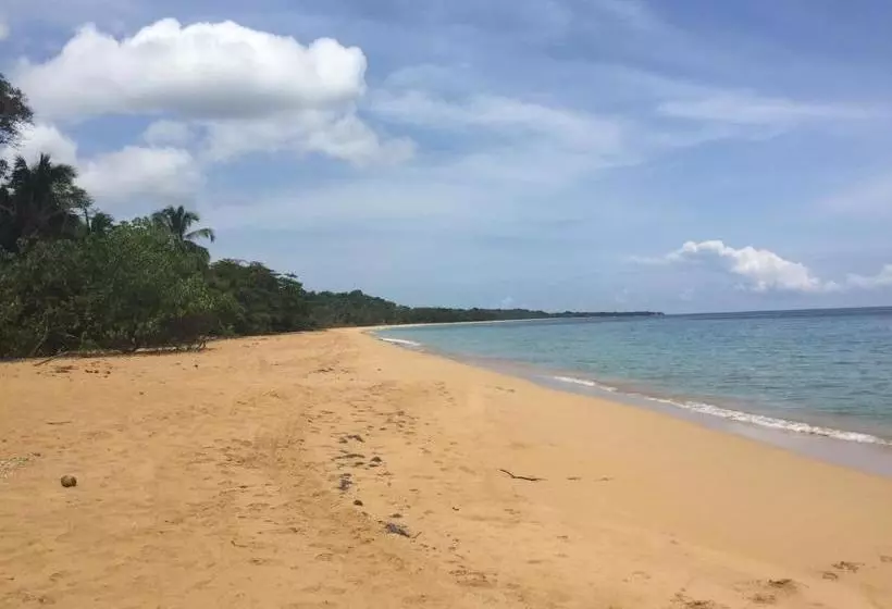 ベッドアンドブレックファースト The Hummingbird