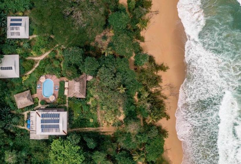 Bed and Breakfast The Hummingbird