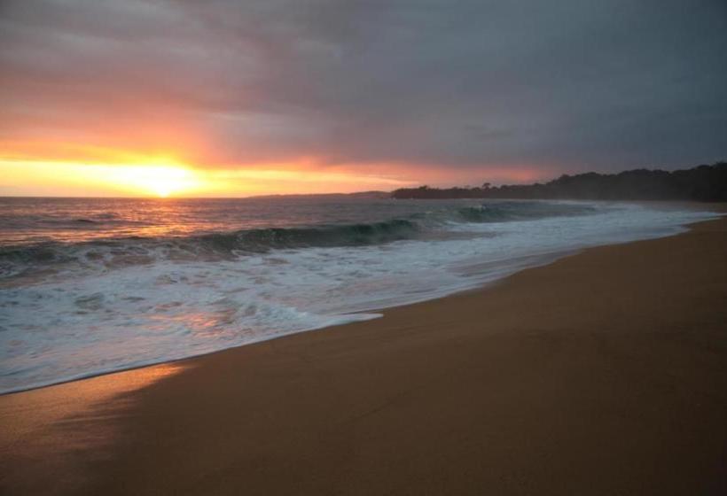 Bed and Breakfast The Hummingbird