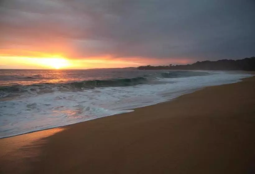 ベッドアンドブレックファースト The Hummingbird