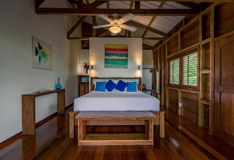 ベッドアンドブレックファースト The Hummingbird