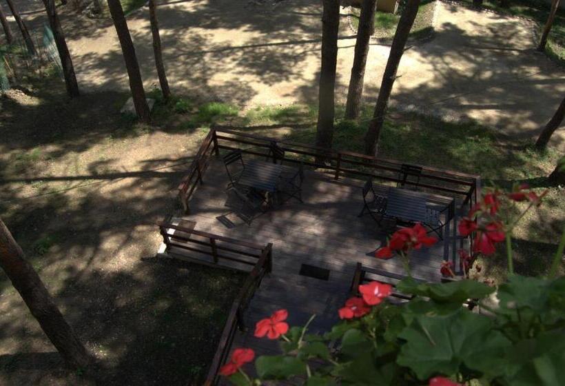 Hotel Complex Parc Pini Moinesti