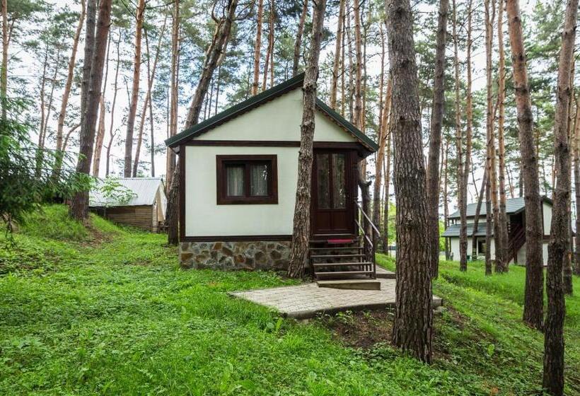 Hotel Complex Parc Pini Moinesti