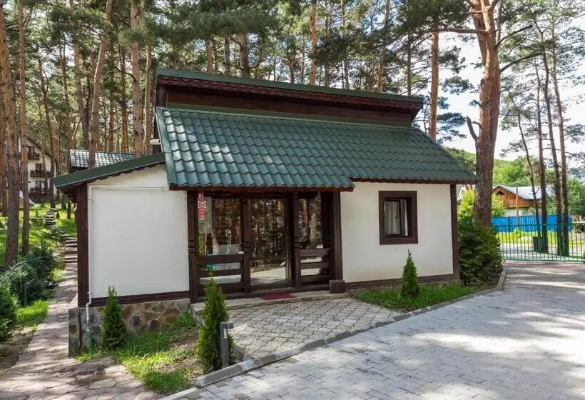 Hotelli Complex Parc Pini Moinesti