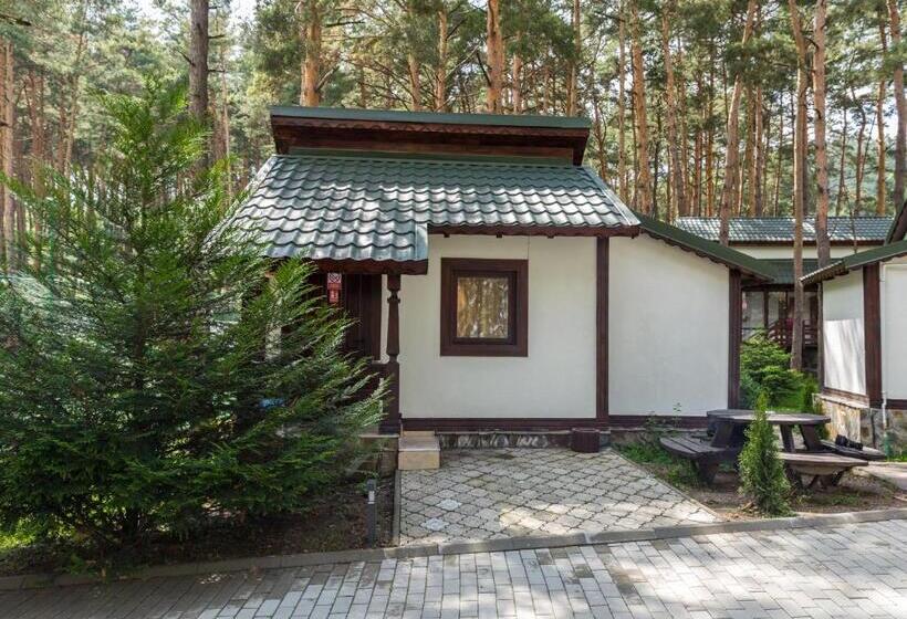 Hotel Complex Parc Pini Moinesti