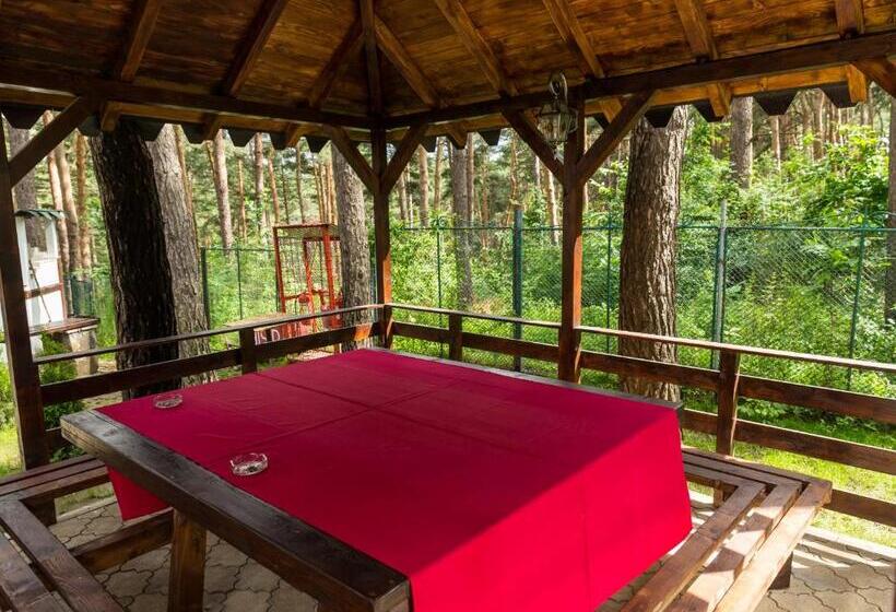 Hotel Complex Parc Pini Moinesti