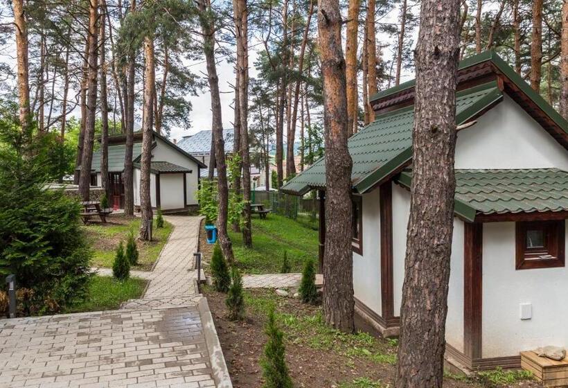 Hotel Complex Parc Pini Moinesti