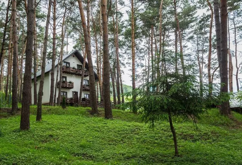 Hotelli Complex Parc Pini Moinesti