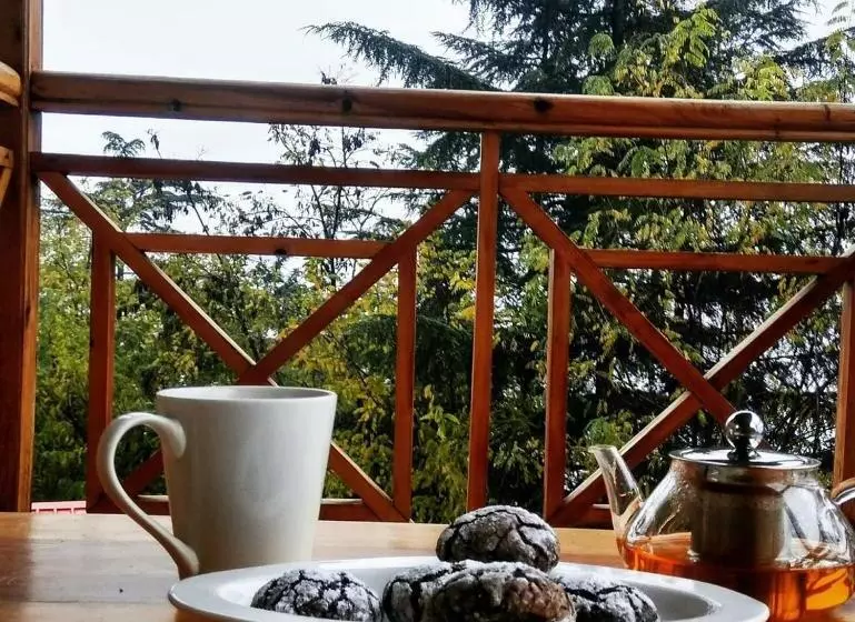 ホテル Soham S Chateau De Naggar   Manali