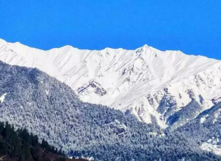 ホテル Soham S Chateau De Naggar   Manali