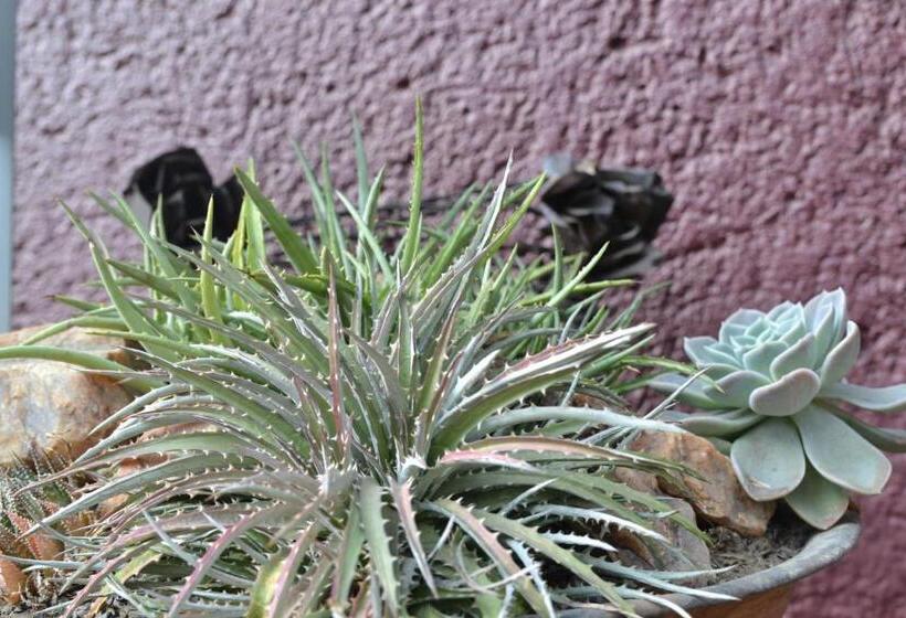 ホテル The Lodge Bethal