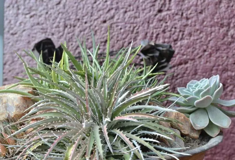 Hotelli The Lodge Bethal