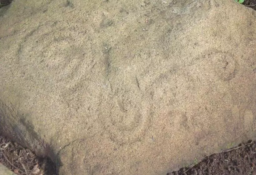 Hotelli Villa Paraiso