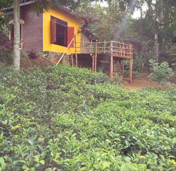 Pensão Aelam Gardens