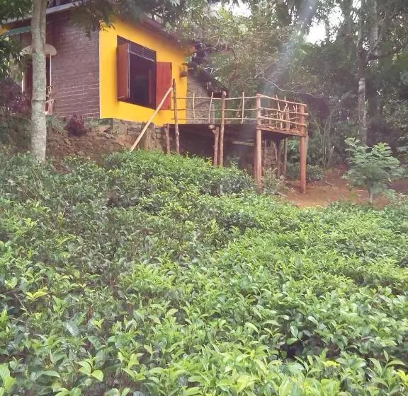 Majatalo Aelam Gardens