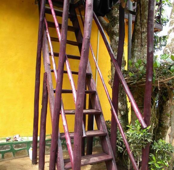 פנסיון Aelam Gardens