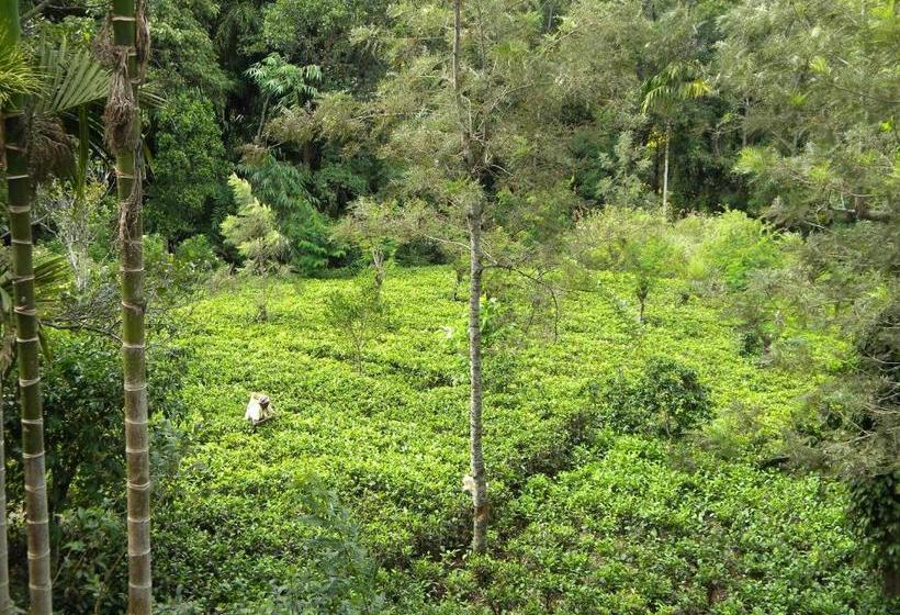 פנסיון Aelam Gardens