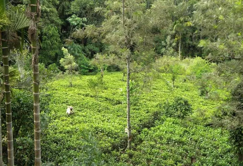 Majatalo Aelam Gardens