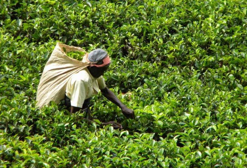 פנסיון Aelam Gardens