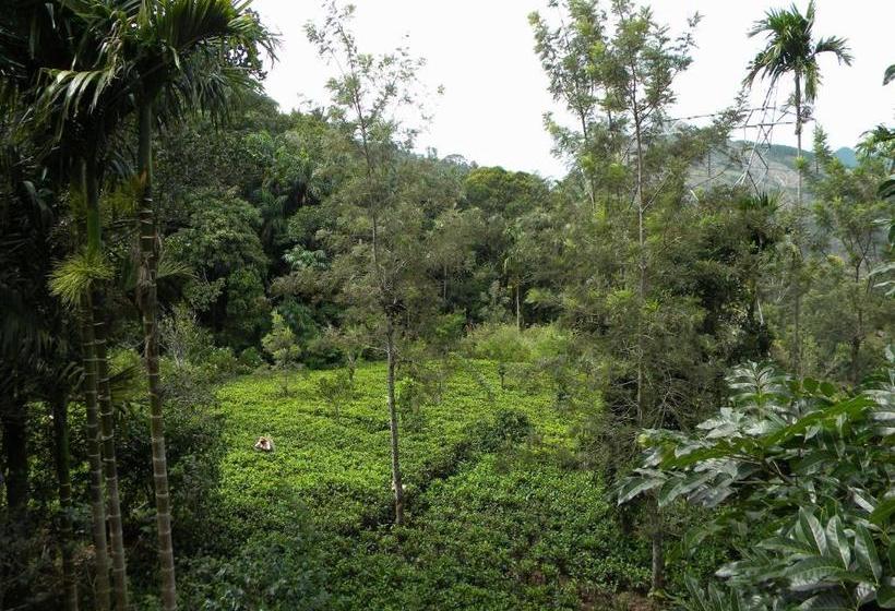 פנסיון Aelam Gardens