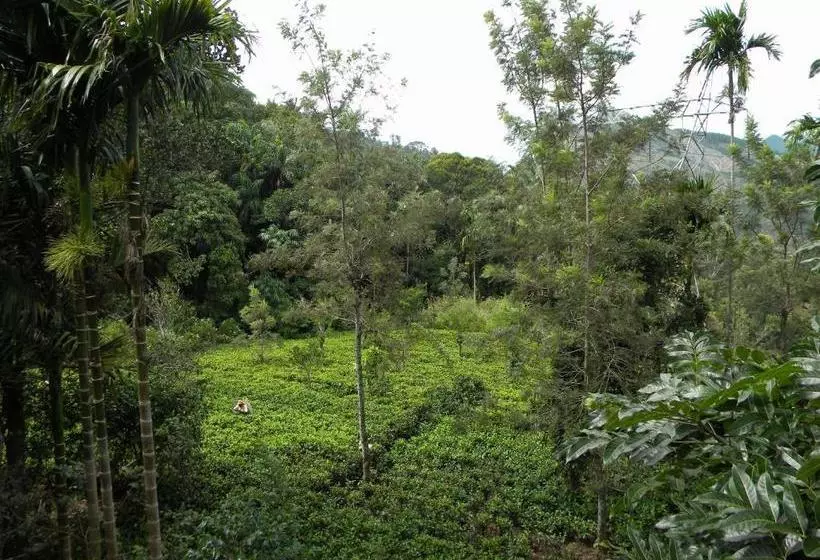 Majatalo Aelam Gardens