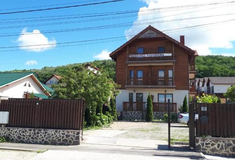 بنسيون Casa Paduricea