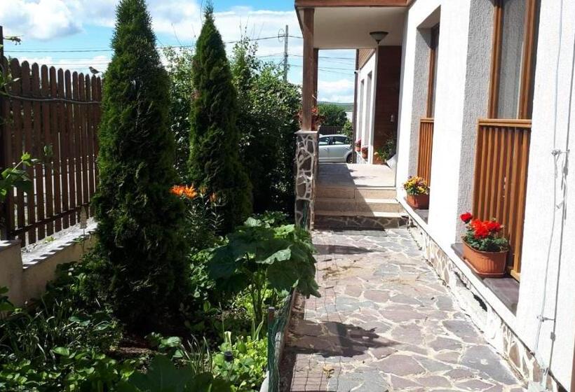 بنسيون Casa Paduricea