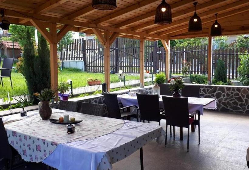 بنسيون Casa Paduricea