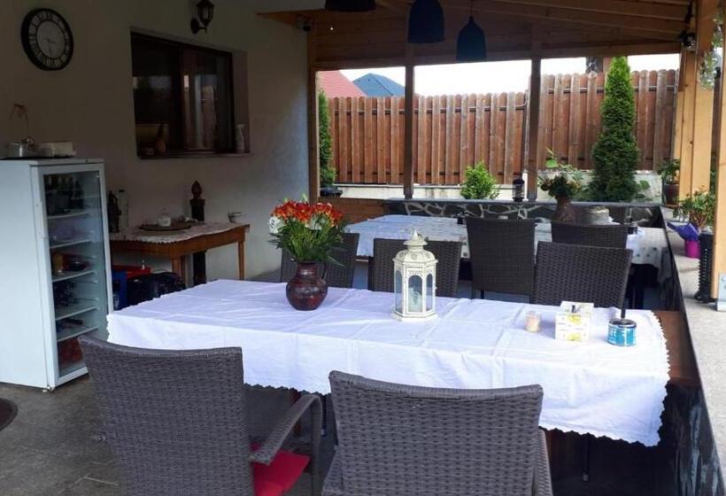 بنسيون Casa Paduricea