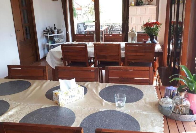 بنسيون Casa Paduricea