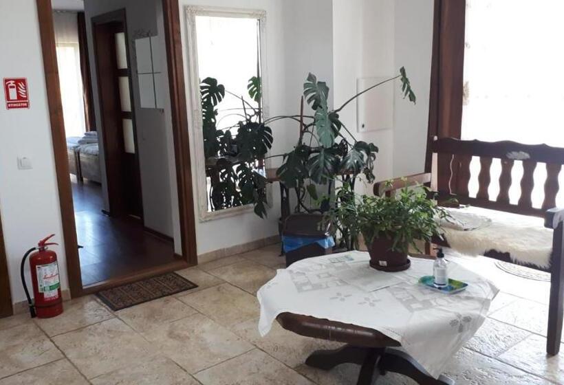 بنسيون Casa Paduricea