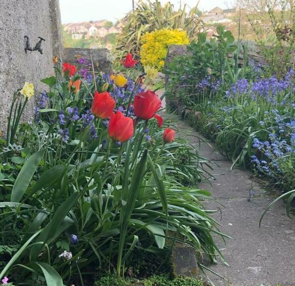 פנסיון Manor Lodge Guesthouse