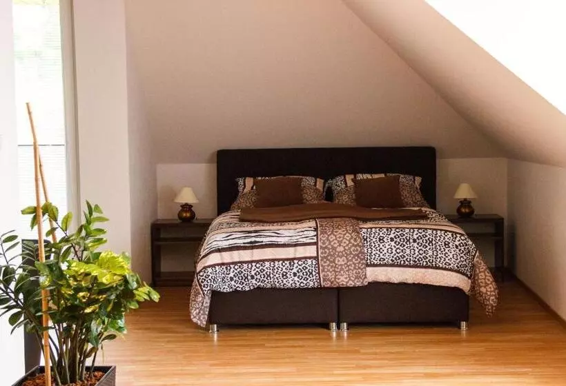 Majatalo Penzion Conti