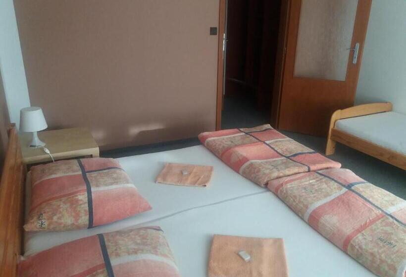 بنسيون Penzion Na Přehradě