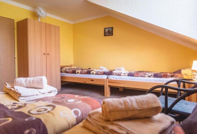 بنسيون Penzion Samorost