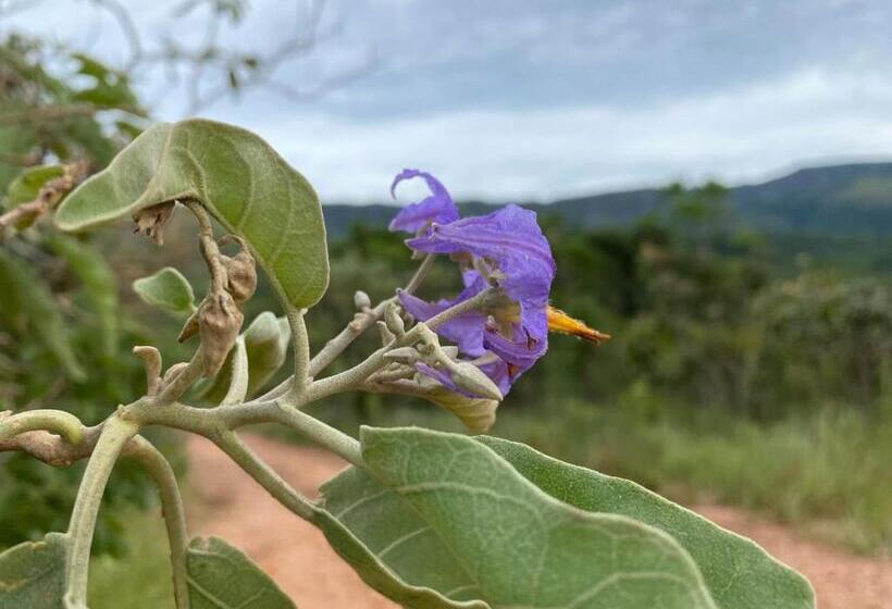 بنسيون Tiô Isolda Artes & Hospedaria