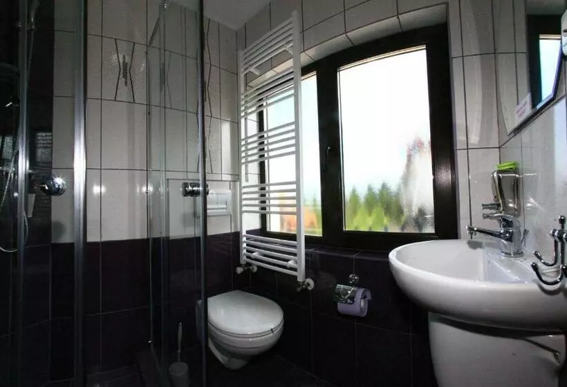 ペンション Vila Romanita