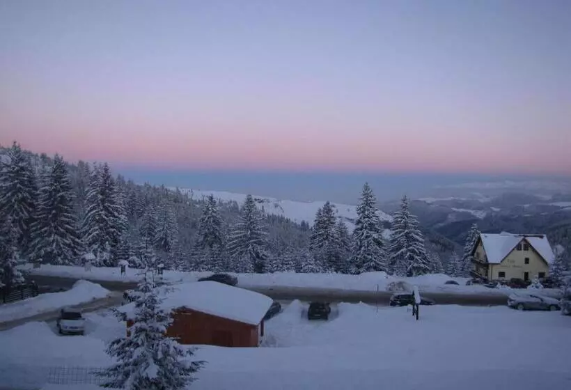 ペンション Vila Romanita