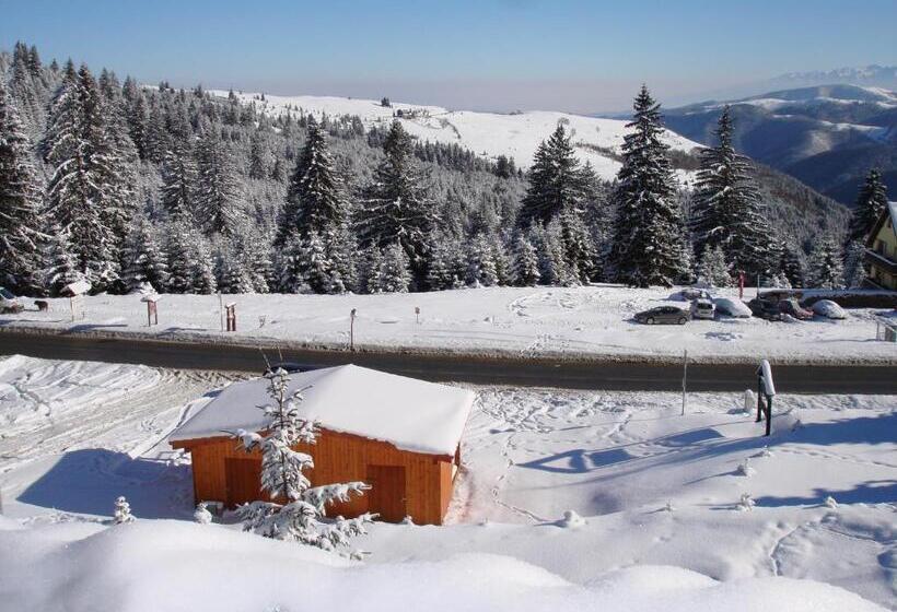 بنسيون Vila Romanita