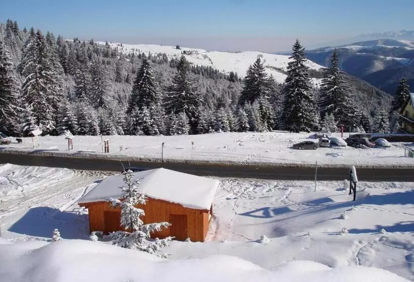 ペンション Vila Romanita