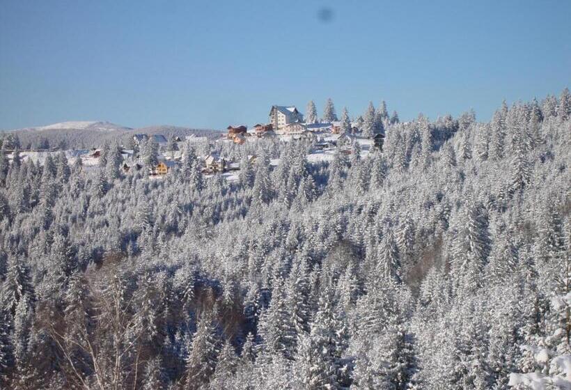 بنسيون Vila Romanita