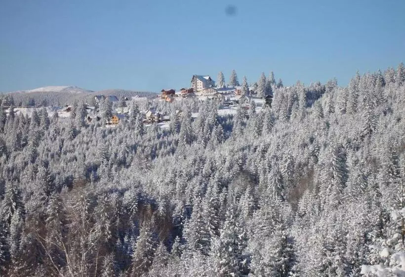 ペンション Vila Romanita