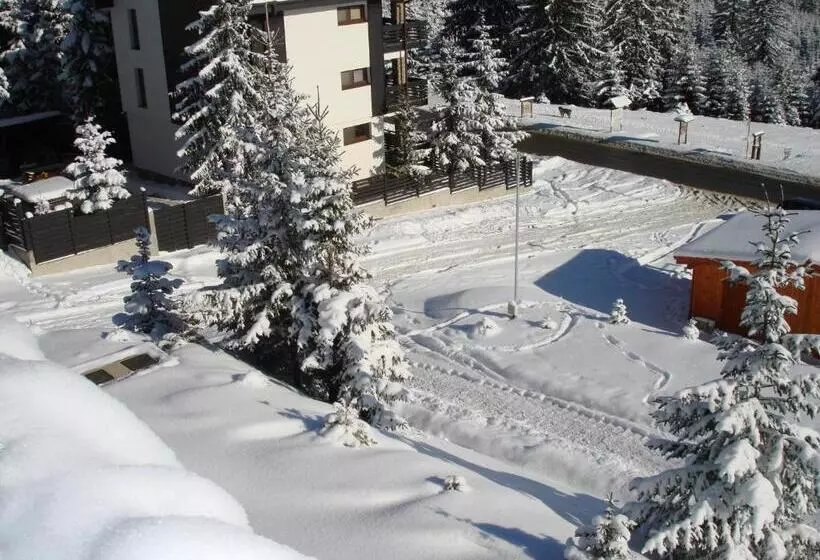 ペンション Vila Romanita