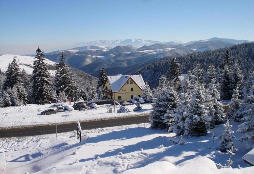 بنسيون Vila Romanita