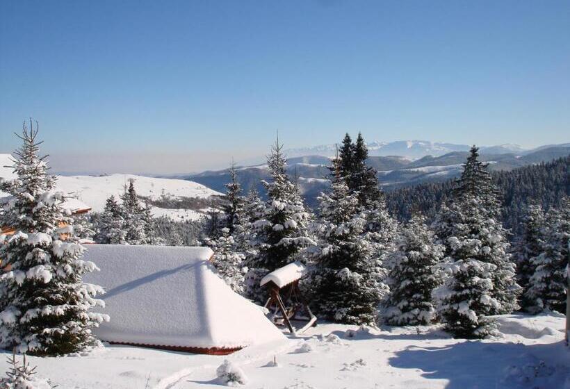 بنسيون Vila Romanita