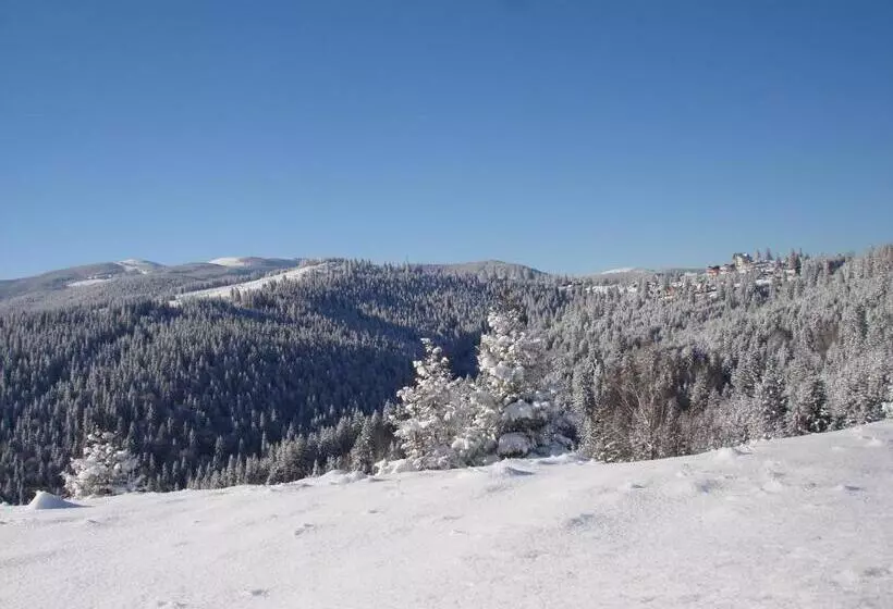 ペンション Vila Romanita